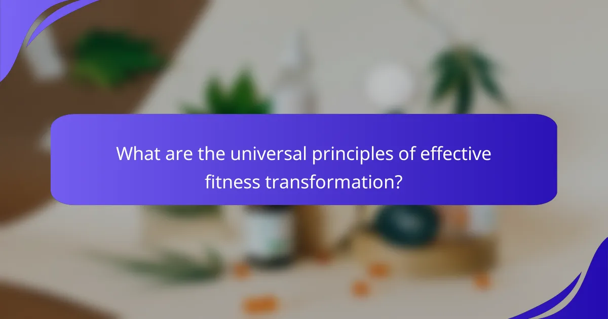 What are the universal principles of effective fitness transformation?