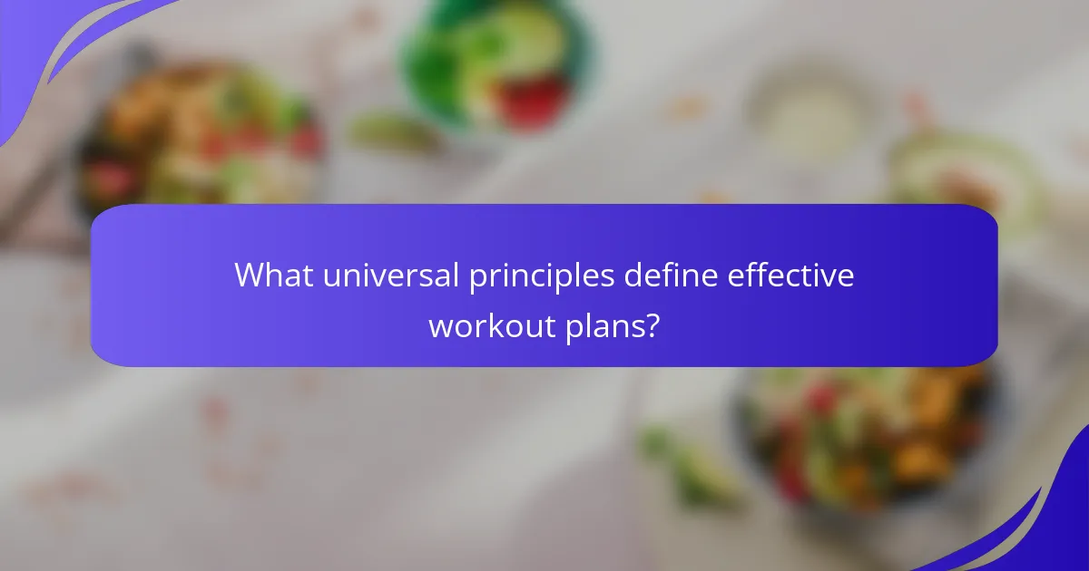 What universal principles define effective workout plans?